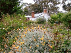The Miners Cottage through the Herb Garden