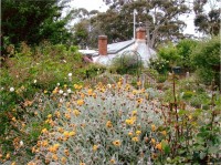 The Miner's Cottage Garden - Eco Apothecary