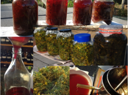 Producing Macerated Oil
