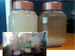 Fermenting Kefir