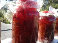 Solar Infusion of St. John's Wort (Hypericum perforatum)