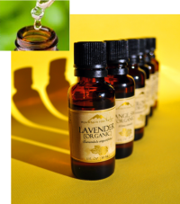 Pure Essential Oils have Many Uses for Health & Beauty