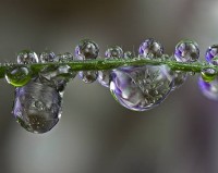 Hydrosols, extremely gently healing properties.