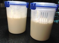 Milk Kefir is a health giving fermented probiotic drink
