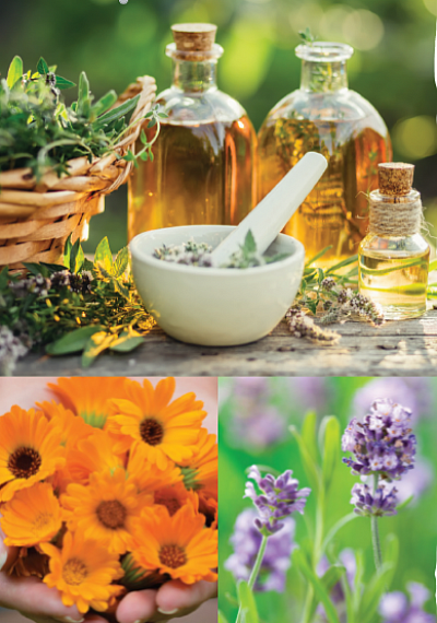 Natural Health & Herbal Workshops